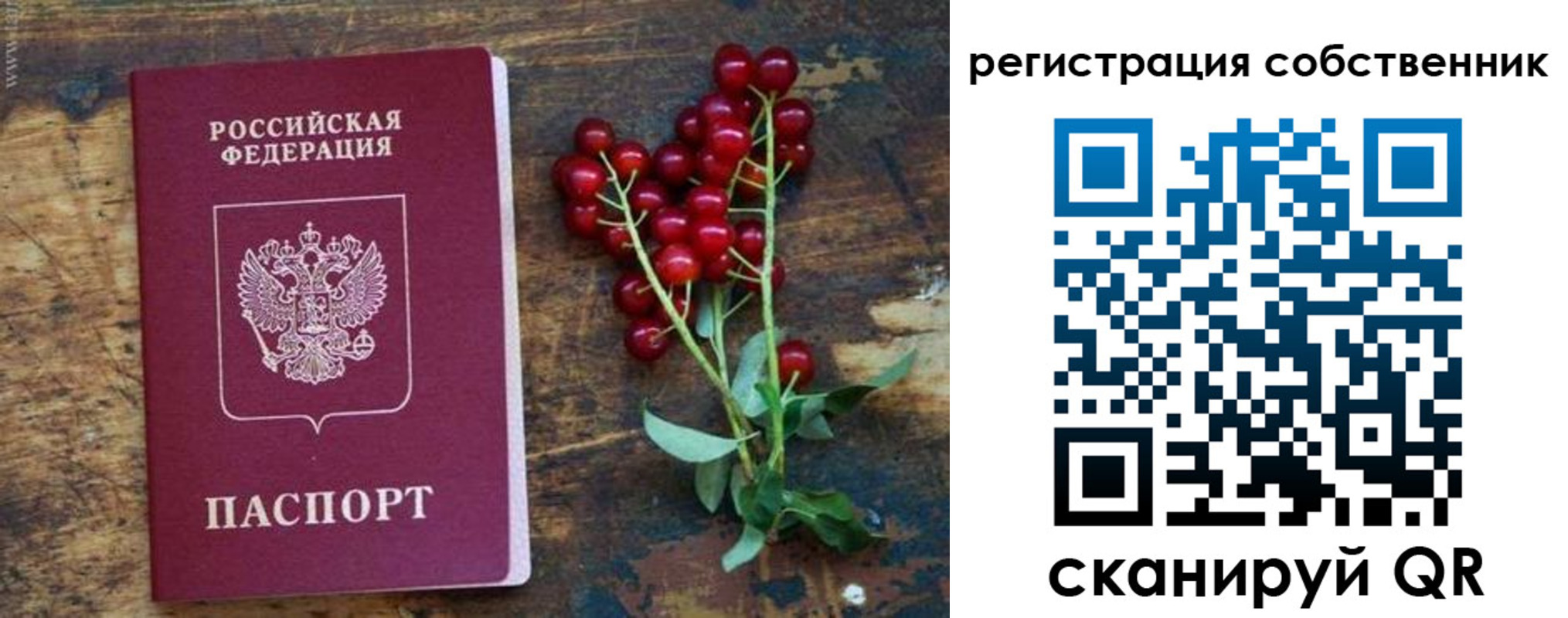 регистрация для дет. сада в Луге